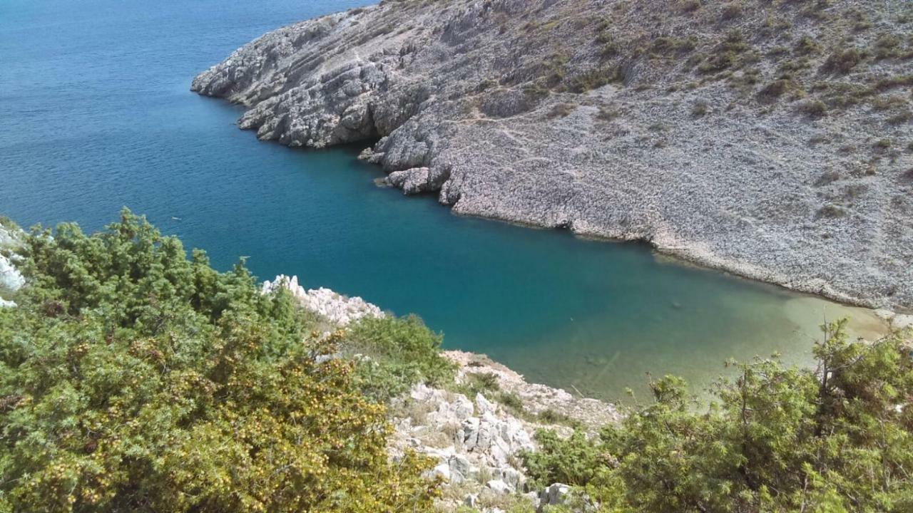 Apartment Kod Stipe Vrsi Dış mekan fotoğraf